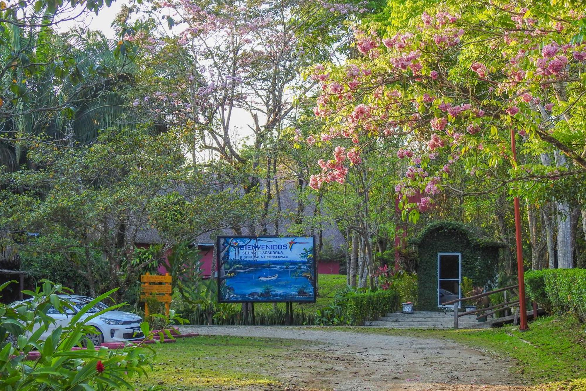 Las Guacamayas Lodge Resort, Selva Lacandona, Chiapas Mexico Тлатисапан Экстерьер фото