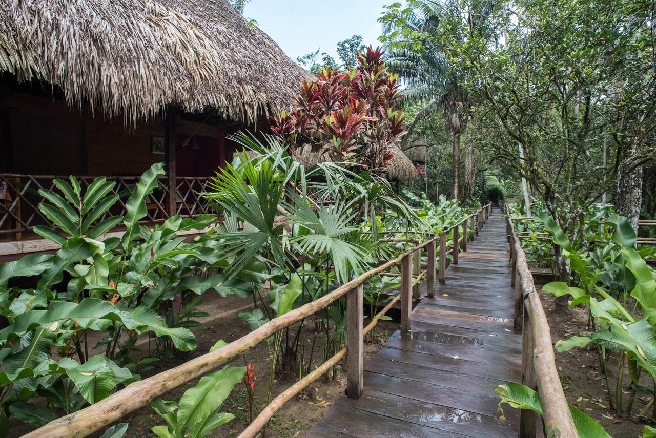 Las Guacamayas Lodge Resort, Selva Lacandona, Chiapas Mexico Тлатисапан Экстерьер фото